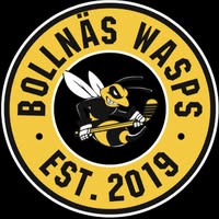 Bollnäs Wasps